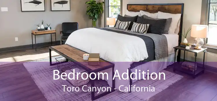 Bedroom Addition Toro Canyon - California