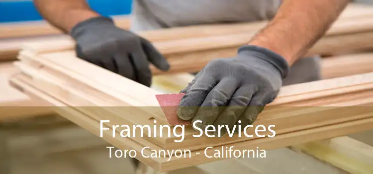 Framing Services Toro Canyon - California