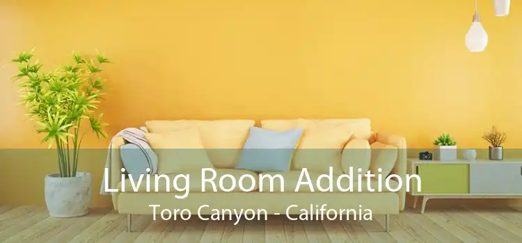 Living Room Addition Toro Canyon - California